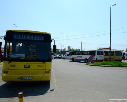 Noi licenţe de traseu pentru transportatorii de persoane din Bihor 